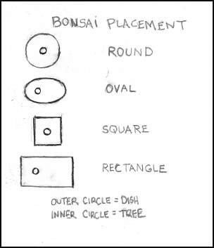 Bonsai Placement diagram
