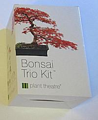 Bonsai trio