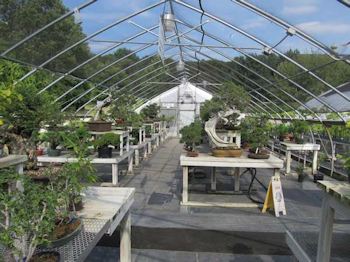 The second greenhouse