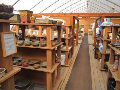 Lots of Bonsai Products, pots and more