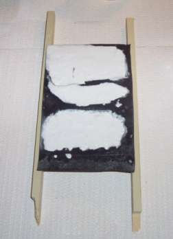 Hydrocal poured in the mold