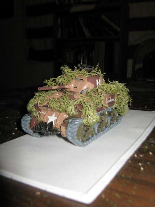 The tank with moss on it