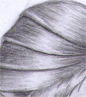 closeup of hair and highlighting
