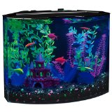 Glofish aquarium