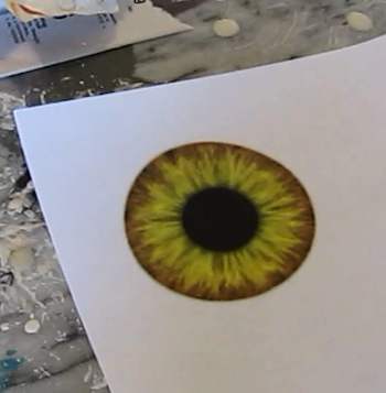 Print up an iris and pupil