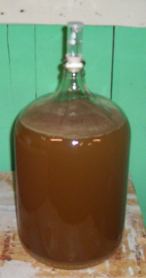 Mead Day 53