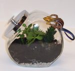 A terrariuim for kids