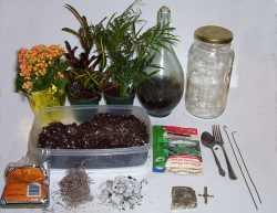 materials for making a terrarium