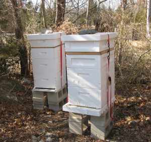 A Big Beehive