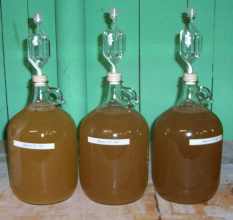 1 gallon jugs of honey wine mead