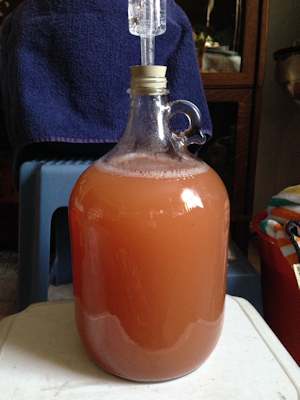 Strawberry mead