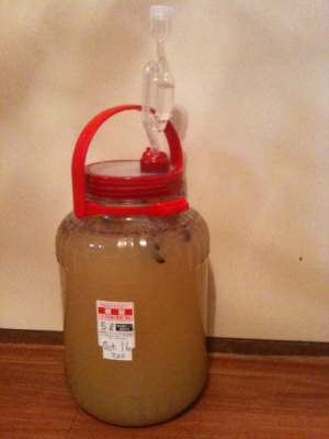 A carboy of mead