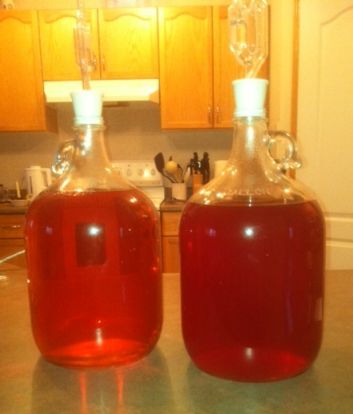 Two jugs of mead fermenting