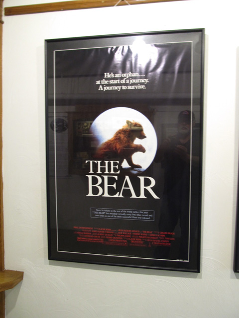 Movie poster of The Bear