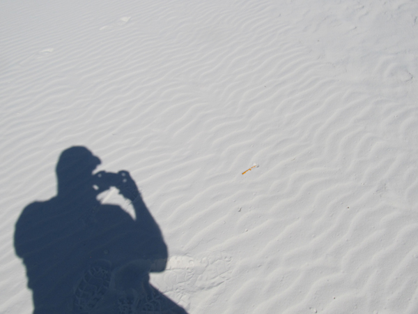Shadow on the white sands