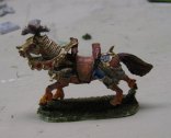 miniature warhorse