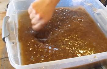 Put pulp into a container