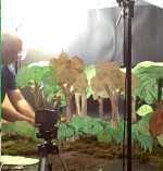 Shooting the forest scene