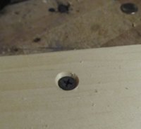 The screw sits flush