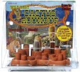 Cactus terrarium kit