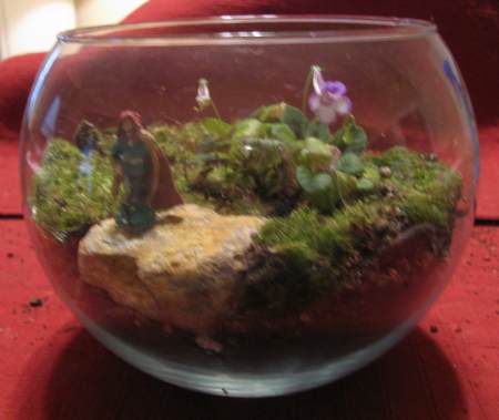 The Completed Moss terrarium