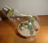 lightbulb terrarium