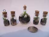 Tiny glass bottle terrariums