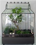 English Conservatory Wardian Case