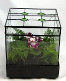 Green Diamond Terrarium wardian case