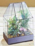 Uxbridge Terrarium