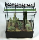 Wardian Case with succulents