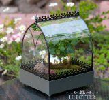 Window Sill Wardian Case