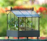 Wright Terrarium