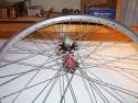 The bicycle wheel