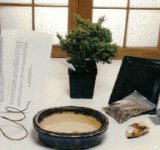 Bonsai Kit