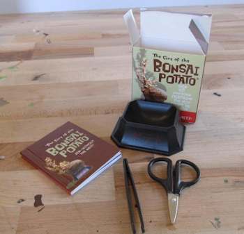The Bonsai Potato Kit