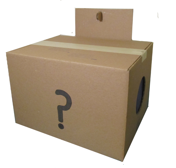 Make a mystery box