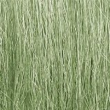 Light Green Grass by woodland scenics