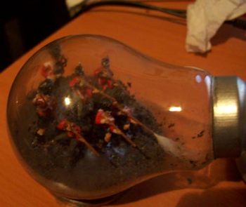 A lightbulb terrarium