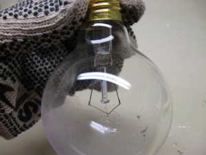 Inside the bulb