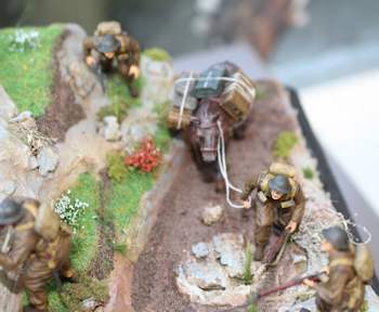 View of the diorama