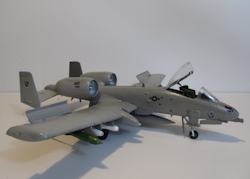 Model Warthog