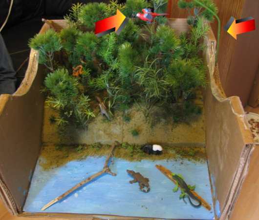 The Animals in the diorama