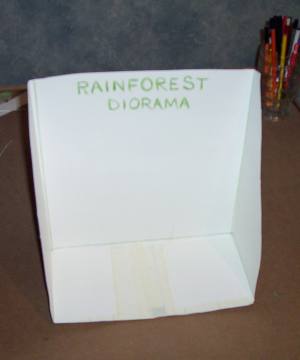 The container for the diorama