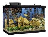 Aquarium Kit