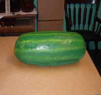Paper Mache Watermelon