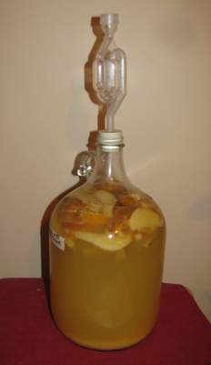A fermenting Pear Mead