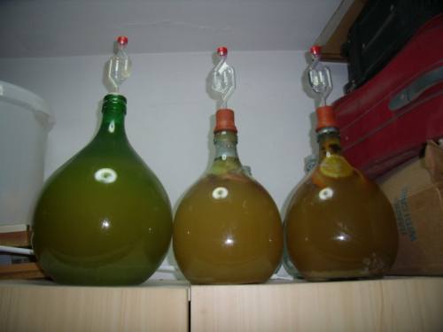 The fermenting mead