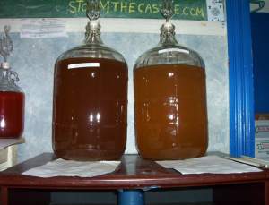 Two identical batches of mead - only the honey has been changed.