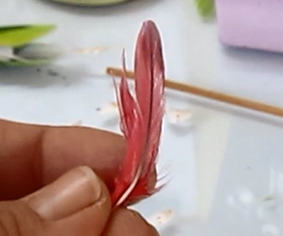 Small Feather